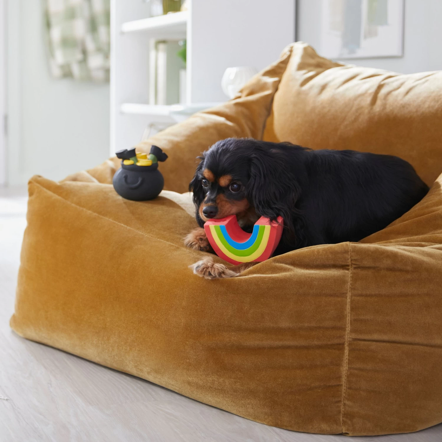 Frisco St. Patrick's Rainbow and Pot of Gold Latex Squeaky Dog Toy Frisco St. Patrick's Rainbow And Pot Of Gold Latex Squeaky Dog Toy -Pet Supplies Shop 303136 PT4. AC SS1800 V1702500566