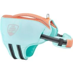 Frisco Active Dog Life Jacket & Frisco Foam Rubber Floating Fetch Ball No Squeak Dog Toy 2 Frisco Active Dog Life Jacket & Frisco Foam Rubber Floating Fetch Ball No Squeak Dog Toy -Pet Supplies Shop 303364 PT2. AC SS1800 V1623163059