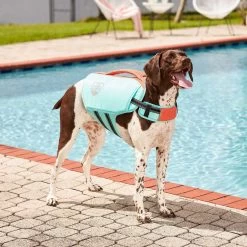 Frisco Active Dog Life Jacket & Frisco Foam Rubber Floating Fetch Ball No Squeak Dog Toy 3 Frisco Active Dog Life Jacket & Frisco Foam Rubber Floating Fetch Ball No Squeak Dog Toy -Pet Supplies Shop 303364 PT3. AC SS1800 V1623163058