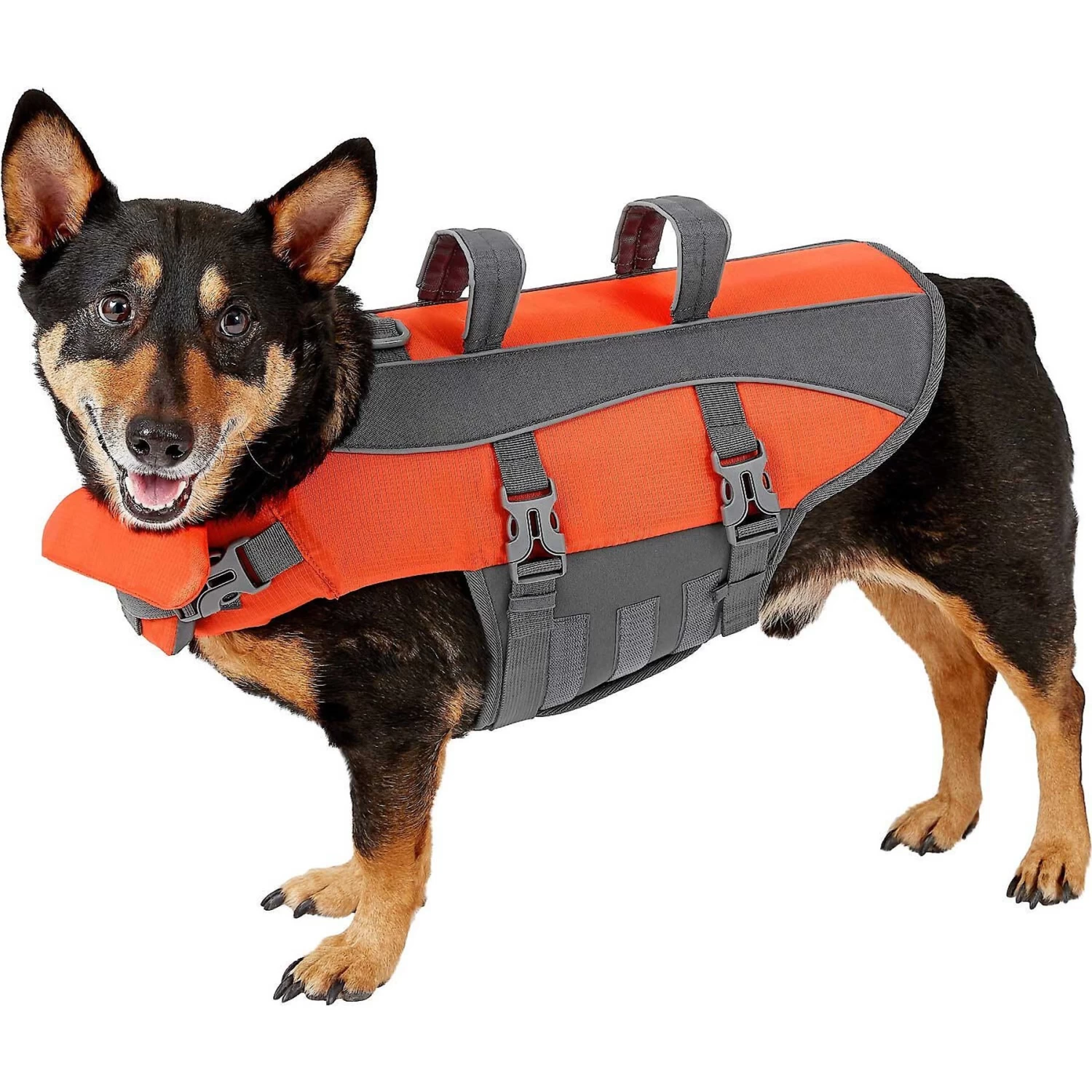 Frisco Ripstop Dog Life Jacket & Frisco Foam Rubber Floating Fetch Ball No Squeak Dog Toy Frisco Ripstop Dog Life Jacket & Frisco Foam Rubber Floating Fetch Ball No Squeak Dog Toy -Pet Supplies Shop 303546 PT1. AC SS1800 V1623062547