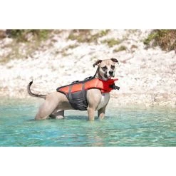 Frisco Ripstop Dog Life Jacket & Frisco Foam Rubber Floating Fetch Ball No Squeak Dog Toy 4 Frisco Ripstop Dog Life Jacket & Frisco Foam Rubber Floating Fetch Ball No Squeak Dog Toy -Pet Supplies Shop 303546 PT4. AC SS1800 V1623046643
