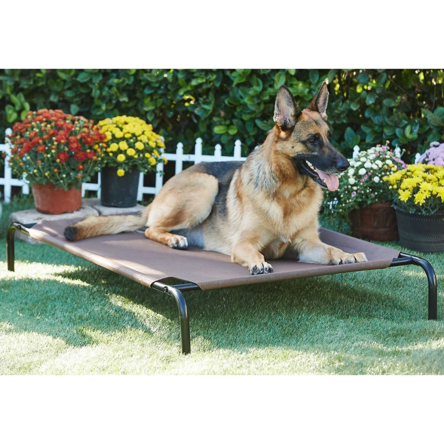 Frisco Replacement Cover for Steel-Framed Elevated Dog Bed & Frisco Steel-Framed Elevated Dog Bed Frisco Replacement Cover For Steel-Framed Elevated Dog Bed & Frisco Steel-Framed Elevated Dog Bed -Pet Supplies Shop 303624 PT5. AC SS1800 V1623084445