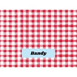 Frisco Personalized Gingham Plaid Sherpa Cat & Dog Blanket, 30" X 40" 4 Frisco Personalized Gingham Plaid Sherpa Cat & Dog Blanket, 30" X 40" -Pet Supplies Shop 303834 PT4. AC SS1800 V1637610144