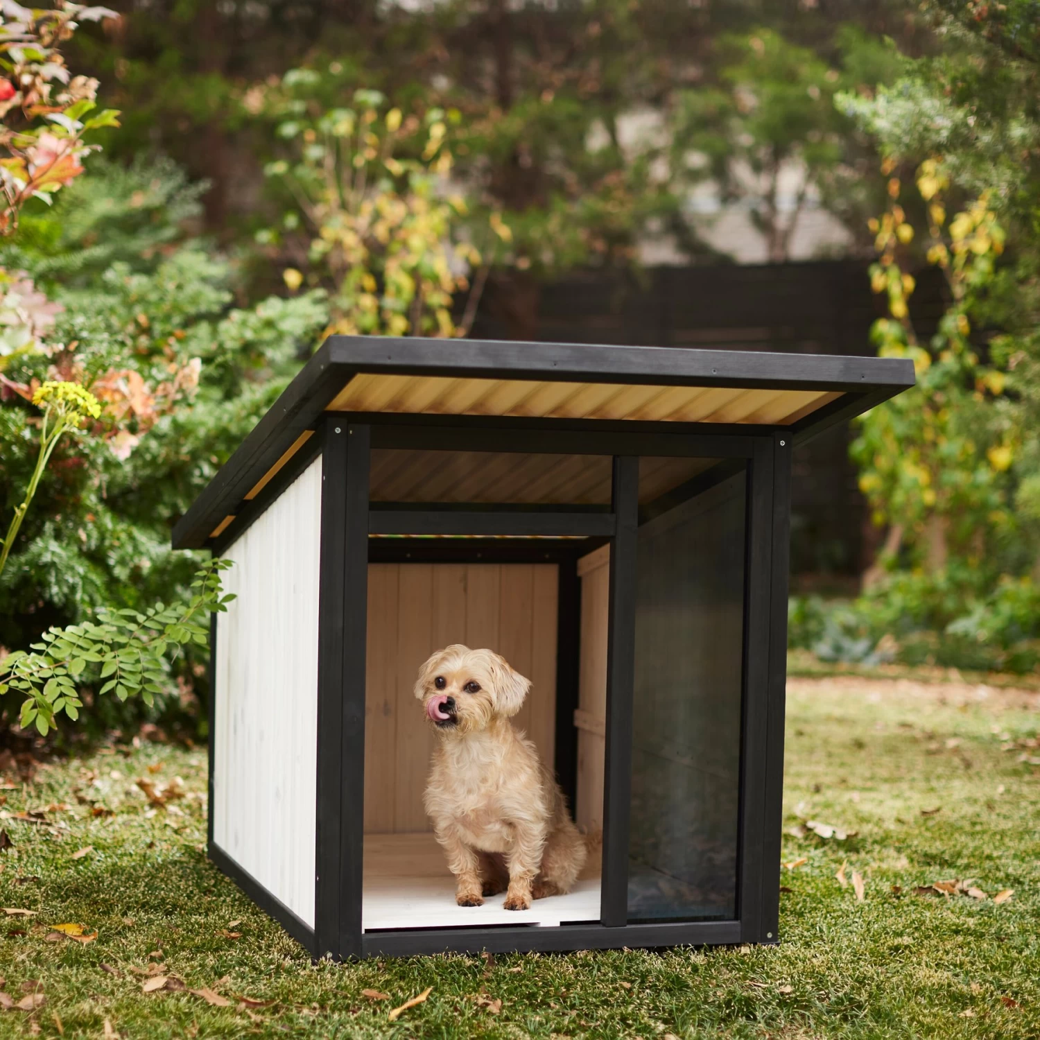 Frisco Modern Wooden Outdoor Dog House, White Frisco Modern Wooden Outdoor Dog House, White -Pet Supplies Shop 304038 MAIN. AC SS1800 V1641480742