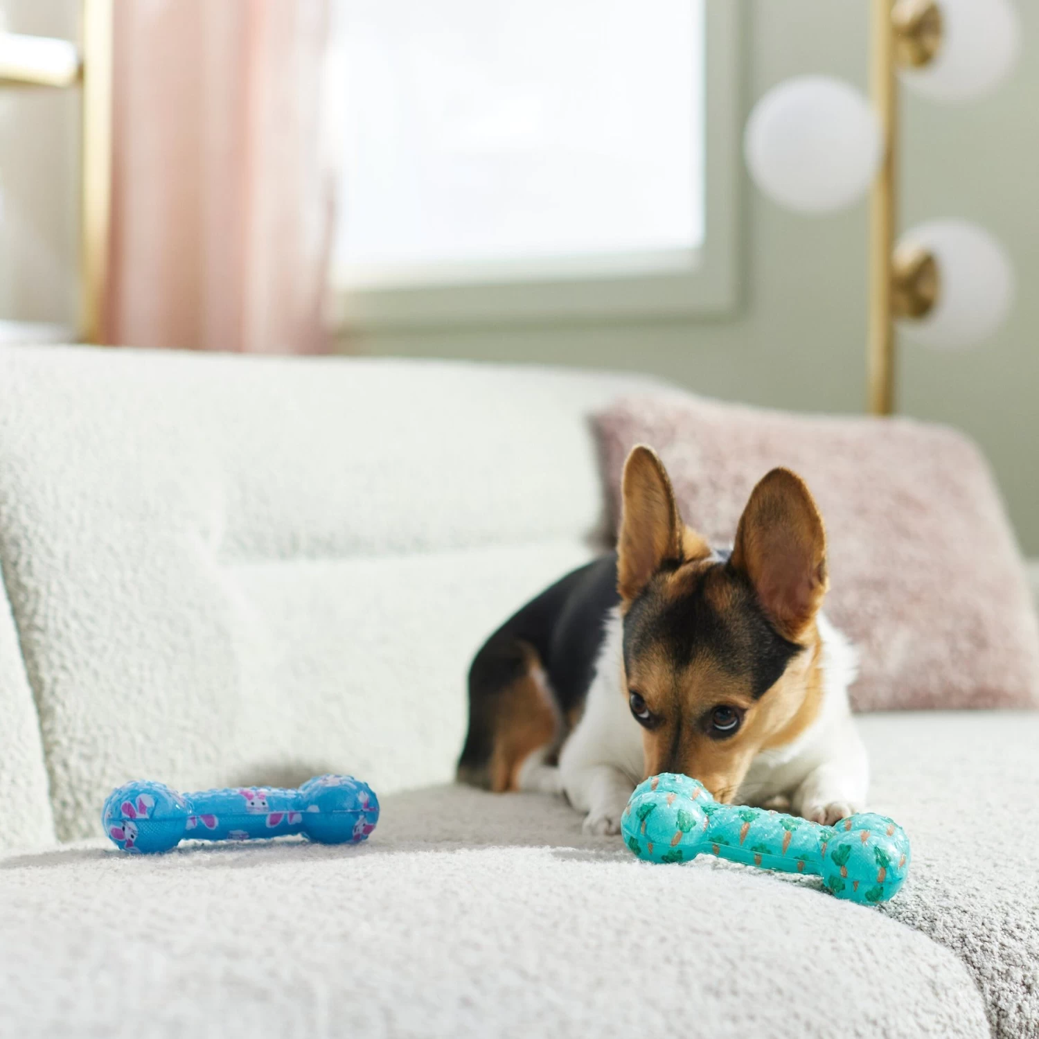 Frisco Easter TPR Bone Squeaky Dog Toy, Medium/Large, 2 count Frisco Easter TPR Bone Squeaky Dog Toy, Medium/Large, 2 Count -Pet Supplies Shop 304966 PT4. AC SS1800 V1670608502