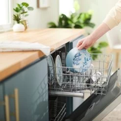 Frisco Coral Design Stainless Steel Dog & Cat Bowl -Pet Supplies Shop 311972 PT7. AC SS1800 V1642543254