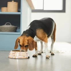 Frisco Copper Print Design Stainless Steel Dog & Cat Bowl -Pet Supplies Shop 311975 PT2. AC SS1800 V1642542895