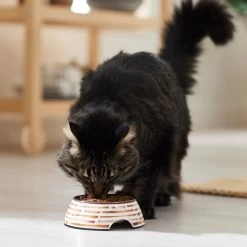 Frisco Copper Print Design Stainless Steel Dog & Cat Bowl -Pet Supplies Shop 311975 PT3. AC SS1800 V1642542357