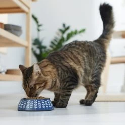 Frisco Leaf Design Stainless Steel Dog & Cat Bowl 3 Frisco Leaf Design Stainless Steel Dog & Cat Bowl -Pet Supplies Shop 311980 PT3. AC SS1800 V1642542556