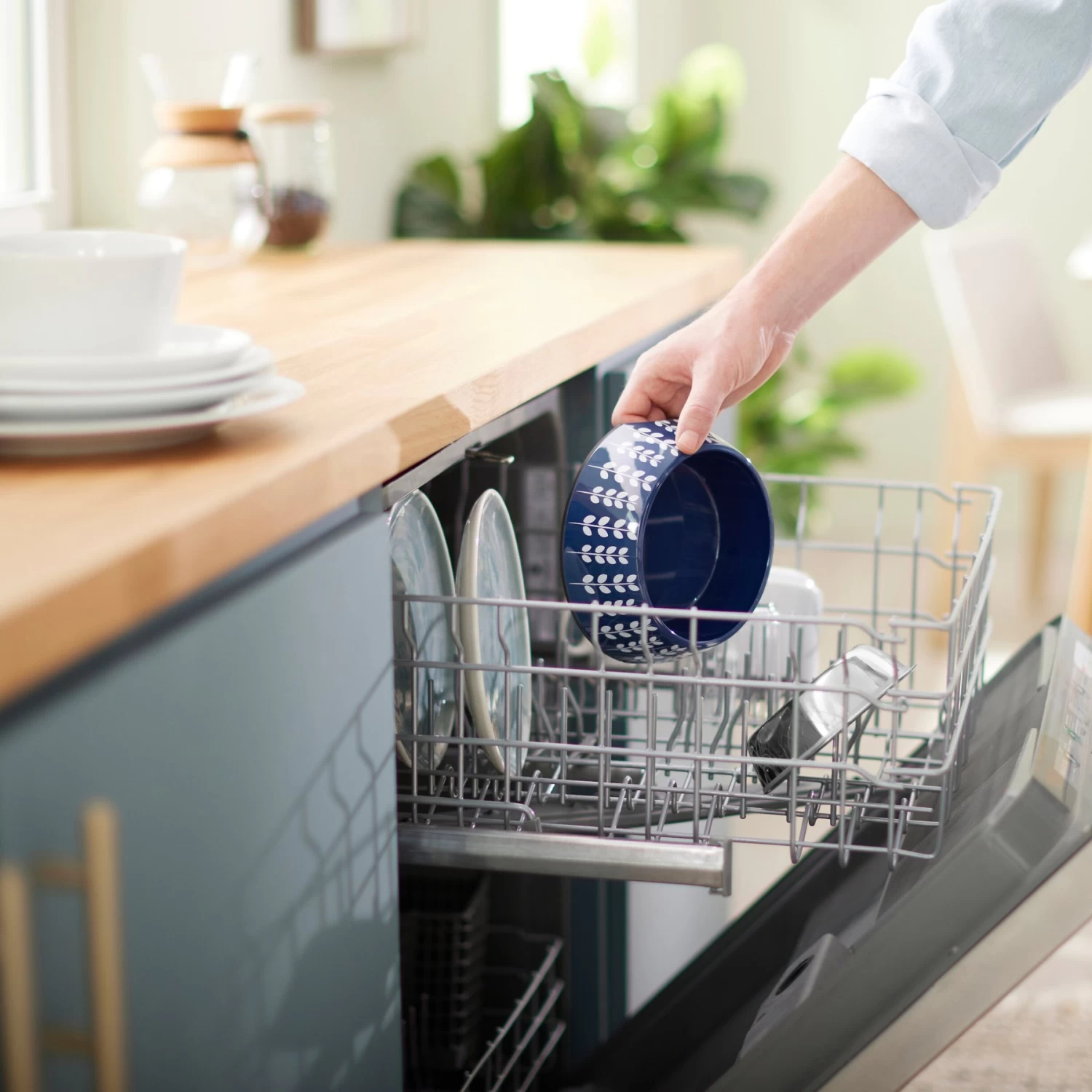 Frisco Leaf Design Stainless Steel Dog & Cat Bowl Frisco Leaf Design Stainless Steel Dog & Cat Bowl -Pet Supplies Shop 311980 PT7. AC SS1800 V1642543101