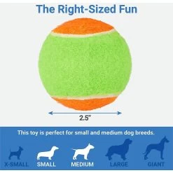 Frisco Fetch Squeaking Colorful Tennis Ball Dog Toy & Project Hive Pet Company Ball Dog Toy 2 Frisco Fetch Squeaking Colorful Tennis Ball Dog Toy & Project Hive Pet Company Ball Dog Toy -Pet Supplies Shop 319024 PT2. AC SS1800 V1630560689