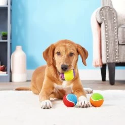 Frisco Fetch Squeaking Colorful Tennis Ball Dog Toy & Project Hive Pet Company Ball Dog Toy 3 Frisco Fetch Squeaking Colorful Tennis Ball Dog Toy & Project Hive Pet Company Ball Dog Toy -Pet Supplies Shop 319024 PT3. AC SS1800 V1630550869
