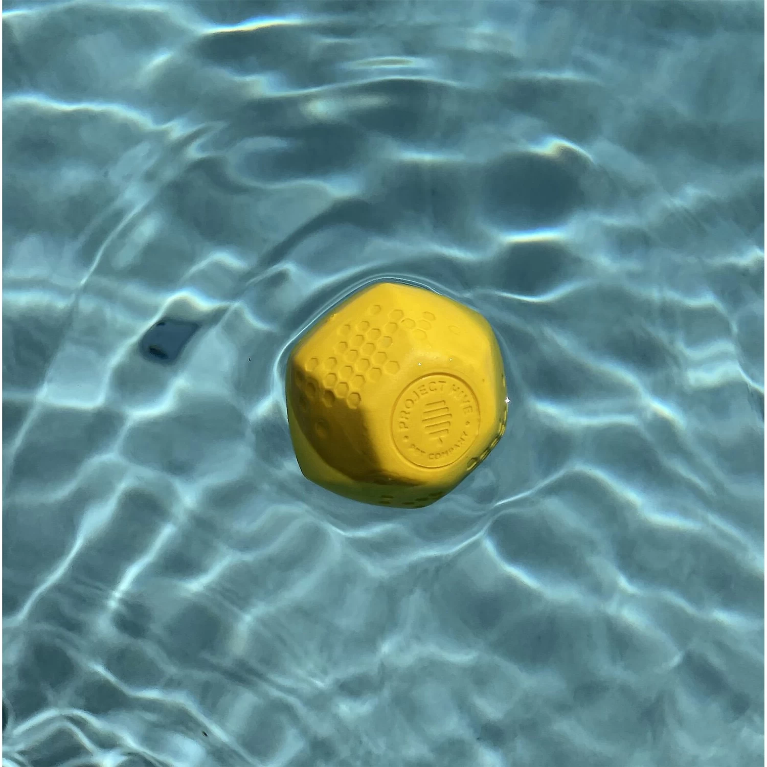 Frisco Fetch Squeaking Colorful Tennis Ball Dog Toy & Project Hive Pet Company Ball Dog Toy Frisco Fetch Squeaking Colorful Tennis Ball Dog Toy & Project Hive Pet Company Ball Dog Toy -Pet Supplies Shop 319024 PT6. AC SS1800 V1630561577