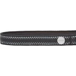 Frisco Outdoor Premium Ripstop Nylon Dog Harness With Pocket & Frisco Outdoor Nylon Reflective Comfort Padded Dog Collar -Pet Supplies Shop 319304 PT6. AC SS1800 V1631158591