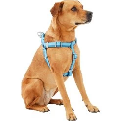 Frisco Outdoor Two Tone Waterproof Stinkproof PVC Dog Harness & Frisco Outdoor Two Tone Waterproof Stinkproof PVC Dog Harness -Pet Supplies Shop 319396 PT2. AC SS1800 V1630624884