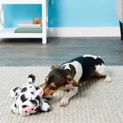 Frisco Cow Plush Squeaky Dog Toy & Playology Scented Dual Layer Ring Dog Toy -Pet Supplies Shop 319488 PT3. AC SS1800 V1630626696