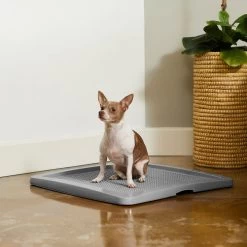Frisco Training Pad Holder & Frisco Premium Dog Training & Potty Pads -Pet Supplies Shop 319526 PT4. AC SS1800 V1630624305