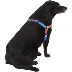 Frisco Purple Ombre Style Dog Harness 3 Frisco Purple Ombre Style Dog Harness -Pet Supplies Shop 324526 PT3. AC SS1800 V1642519104