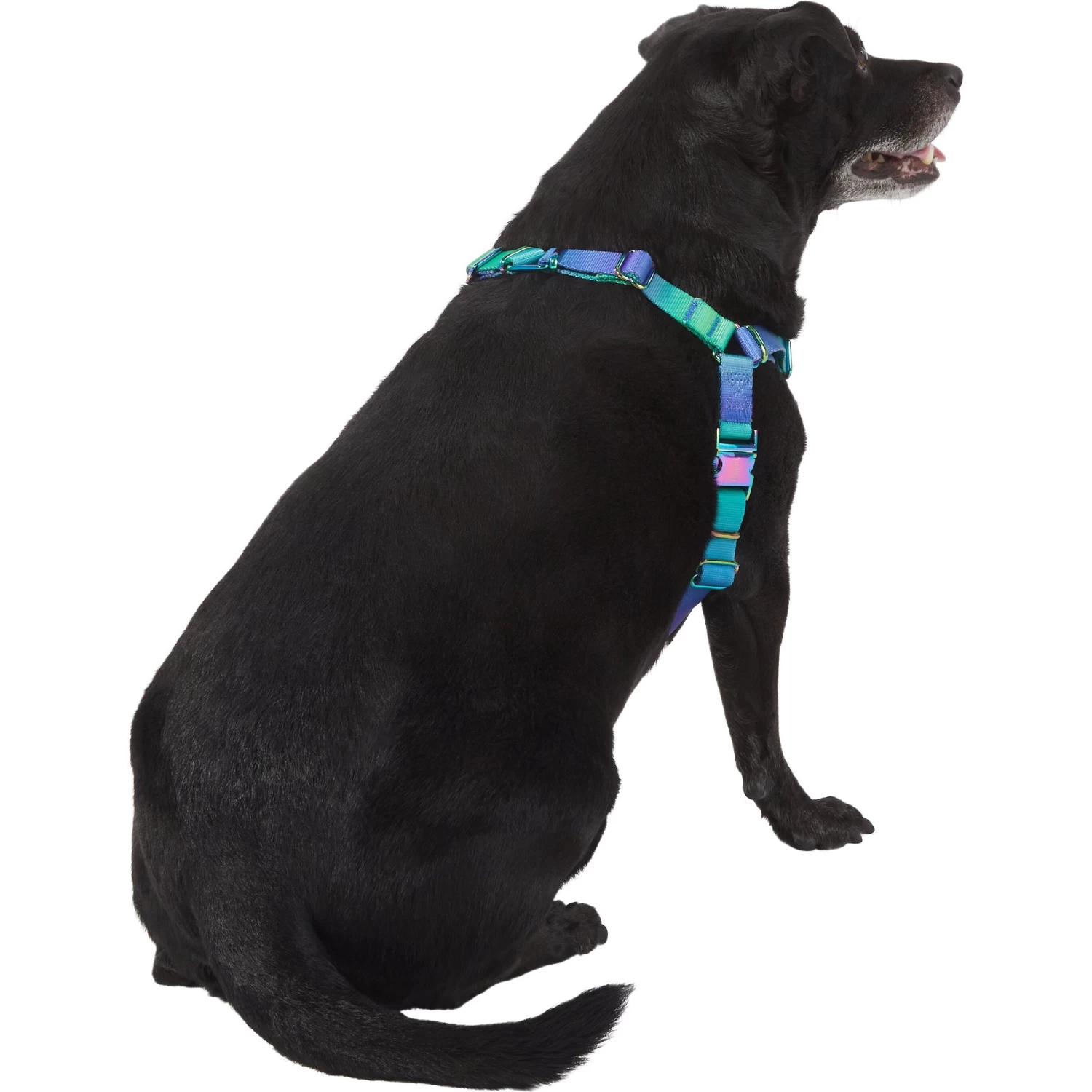 Frisco Green Ombre Style Dog Harness Frisco Green Ombre Style Dog Harness -Pet Supplies Shop 324531 PT3. AC SS1800 V1642518631