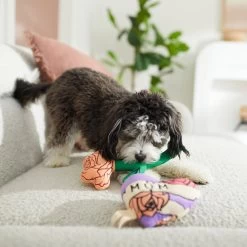 Frisco Mother's Day Rose & Heart Plush Squeaky Dog Toy, 2 Count -Pet Supplies Shop 327033 PT3. AC SS1800 V1646947953