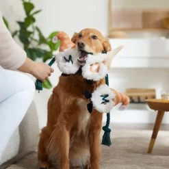 Frisco Mother's Day Gnomes Plush With Rope Squeaky Dog Toy -Pet Supplies Shop 327037 PT3. AC SS1800 V1646948102