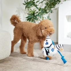 Frisco Dad Gnome Plush With Rope Dog Toy -Pet Supplies Shop 327053 PT3. AC SS1800 V1648667286