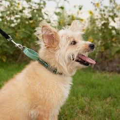 Frisco Outdoor Running Martingale Dog Collar -Pet Supplies Shop 331413 PT3. AC SS1800 V1662644747