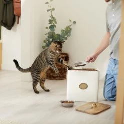 Frisco Premium Airtight Dog & Cat Food Storage Canister With Scoop -Pet Supplies Shop 331486 PT3. AC SS1800 V1657656891