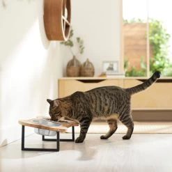 Frisco Premium Wood Elevated Bone Shape Stainless Steel Double Diner Dog & Cat Bowl, 3 Cup -Pet Supplies Shop 331497 PT3. AC SS1800 V1657656892