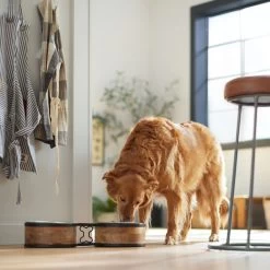 Frisco Premium Elevated Bone Design Stainless Steel Double Diner Dog & Cat Bowl 2 Frisco Premium Elevated Bone Design Stainless Steel Double Diner Dog & Cat Bowl -Pet Supplies Shop 331499 PT2. AC SS1800 V1657656892
