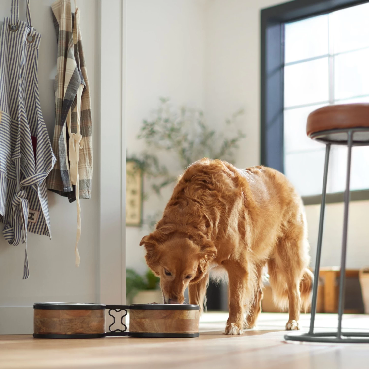 Frisco Premium Elevated Bone Design Stainless Steel Double Diner Dog & Cat Bowl Frisco Premium Elevated Bone Design Stainless Steel Double Diner Dog & Cat Bowl -Pet Supplies Shop 331499 PT2. AC SS1800 V1657656892