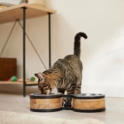 Frisco Premium Elevated Bone Design Stainless Steel Double Diner Dog & Cat Bowl 3 Frisco Premium Elevated Bone Design Stainless Steel Double Diner Dog & Cat Bowl -Pet Supplies Shop 331499 PT3. AC SS1800 V1657656892