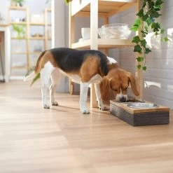 Frisco Premium Stainless Steel Double Diner Dog & Cat Bowl, Black -Pet Supplies Shop 331532 PT2. AC SS1800 V1657656874