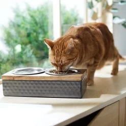 Frisco Premium Stainless Steel Double Diner Dog & Cat Bowl, Black -Pet Supplies Shop 331532 PT3. AC SS1800 V1657656874