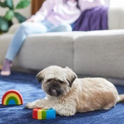 Frisco Pride Rainbow & Heart Latex Squeaky Dog Toy, 2 Count 2 Frisco Pride Rainbow & Heart Latex Squeaky Dog Toy, 2 Count -Pet Supplies Shop 331632 PT3. AC SS1800 V1647355825