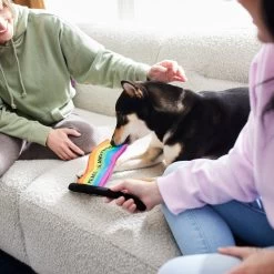 Frisco Pride Flag Flat Squeaky Dog Toy -Pet Supplies Shop 331640 PT3. AC SS1800 V1647355852