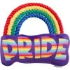 Frisco Pride Rainbow Plush With Rope Squeaky Dog Toy