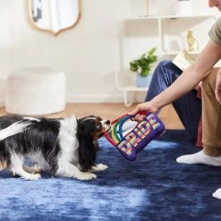 Frisco Pride Rainbow Plush With Rope Squeaky Dog Toy -Pet Supplies Shop 331653 PT3. AC SS1800 V1647356026