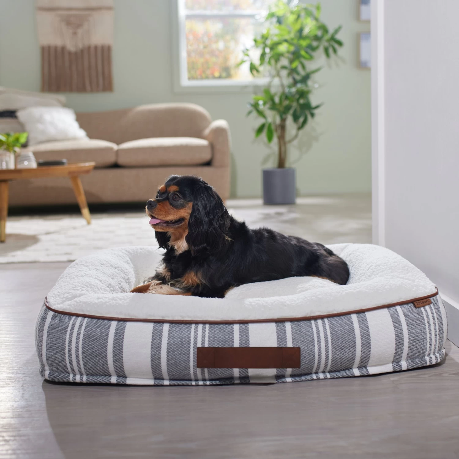 Frisco Farmhouse Rectangular Bolster Dog Bed w/ Removable Cover Frisco Farmhouse Rectangular Bolster Dog Bed W/ Removable Cover -Pet Supplies Shop 333868 MAIN. AC SS1800 V1658717800