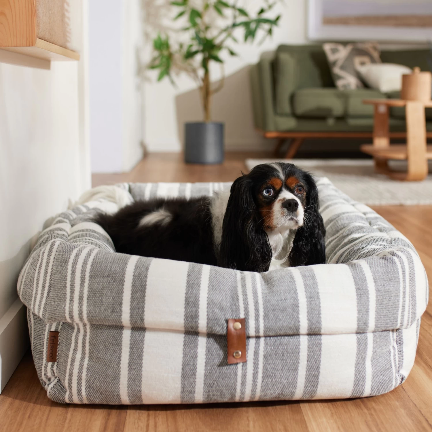 Frisco Farmhouse Deep Cuffed Cuddler Dog Bed Frisco Farmhouse Deep Cuffed Cuddler Dog Bed -Pet Supplies Shop 333885 MAIN. AC SS1800 V1658719230