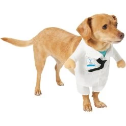 Frisco Front Walking Doctor Dog & Cat Costume -Pet Supplies Shop 334900 PT3. AC SS1800 V1658344549
