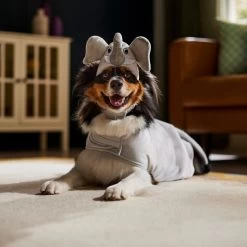 Frisco Elephant Dog & Cat Costume 5 Frisco Elephant Dog & Cat Costume -Pet Supplies Shop 334915 PT7. AC SS1800 V1657718739