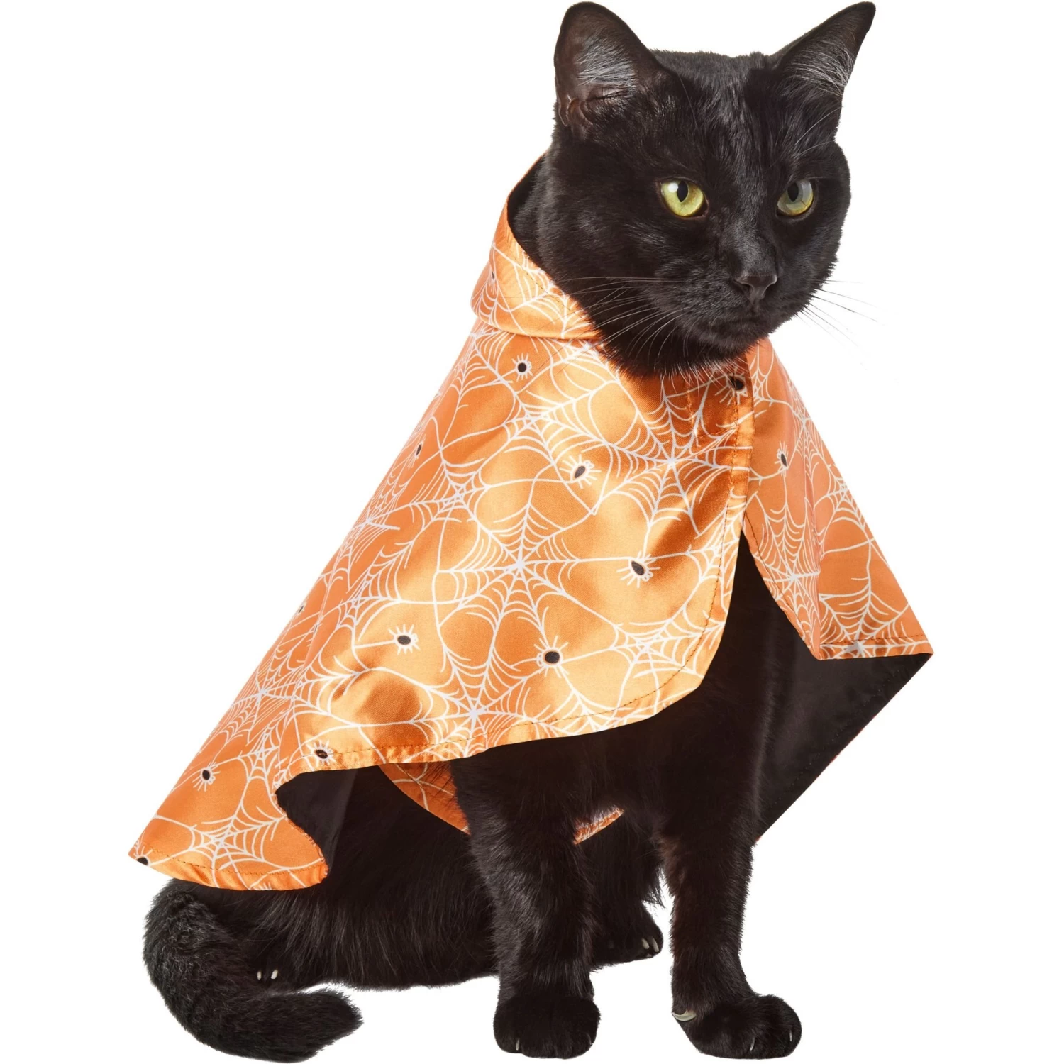 Frisco Spider Webbed Dog & Cat Costume Cape Frisco Spider Webbed Dog & Cat Costume Cape -Pet Supplies Shop 334972 PT2. AC SS1800 V1658348259