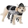 Frisco Spider Dog & Cat Costume