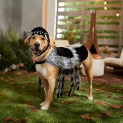 Frisco Spider Dog & Cat Costume -Pet Supplies Shop 335017 PT7. AC SS1800 V1657834853