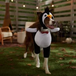 Frisco Front Walking Penguin Dog & Cat Costume -Pet Supplies Shop 335062 PT7. AC SS1800 V1657718971