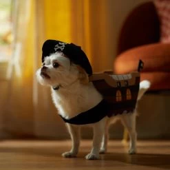 Frisco Pirate Ship Dog & Cat Costume -Pet Supplies Shop 335078 PT7. AC SS1800 V1657656881