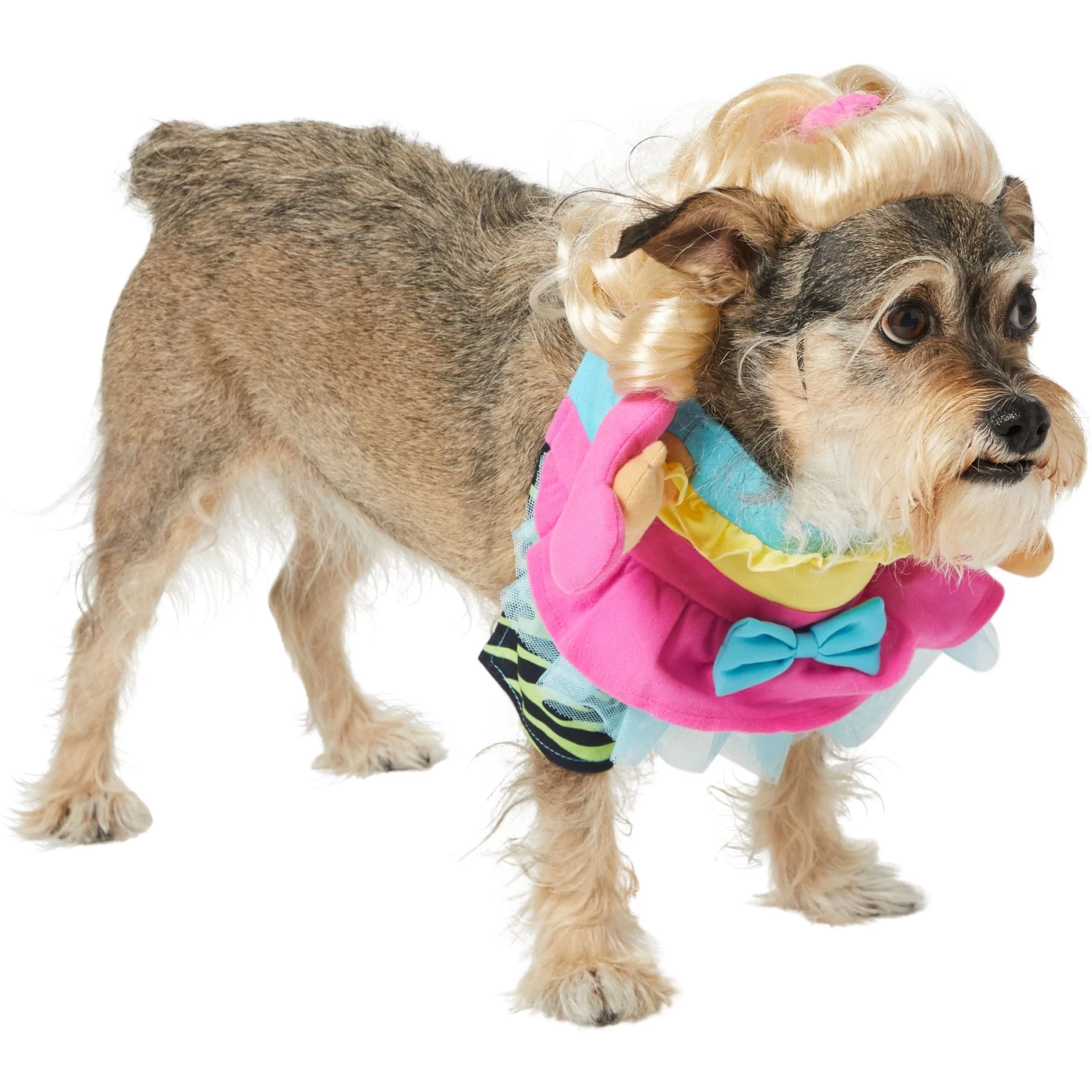 Frisco Front Walking Workout Girl Dog & Cat Costume Frisco Front Walking Workout Girl Dog & Cat Costume -Pet Supplies Shop 335111 PT3. AC SS1800 V1659027675