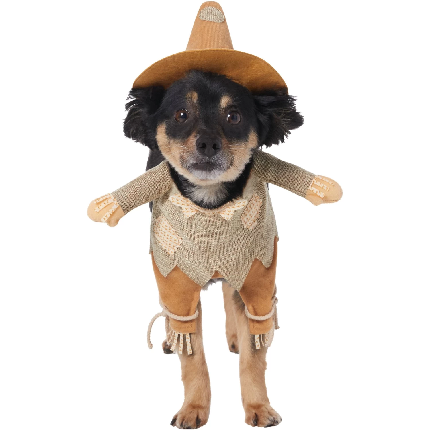 Frisco Front Walking Scarecrow Dog & Cat Costume Frisco Front Walking Scarecrow Dog & Cat Costume -Pet Supplies Shop 335135 MAIN. AC SS1800 V1658349298
