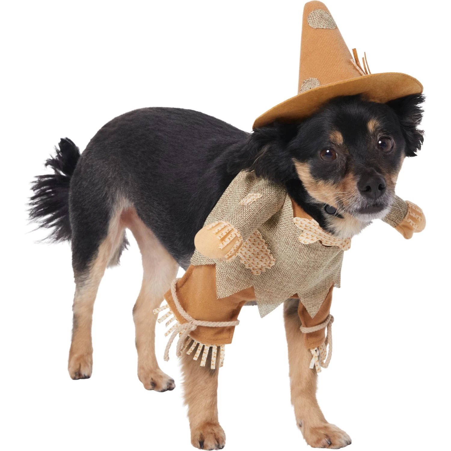 Frisco Front Walking Scarecrow Dog & Cat Costume Frisco Front Walking Scarecrow Dog & Cat Costume -Pet Supplies Shop 335135 PT3. AC SS1800 V1658349680